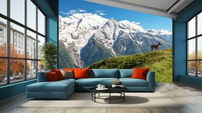 Adult ibex infront of Mont Blanc, Chamonix, French Alps, France Wall mural