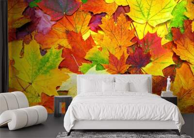 autumn colorful leaves background Wall mural