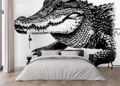 crocodile isolated on white Wall mural