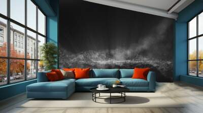 Black background, digital signature with particles, sparkling waves, curtains and areas with deep depths. The particles are white light waves. Wall mural