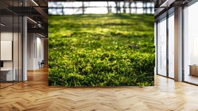 Grass and moss with dewdrops in the morning sun in the backyard, against a blurred background of the fence. Wall mural