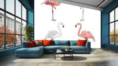 Hand drawing flamingos. Vector illustration Wall mural