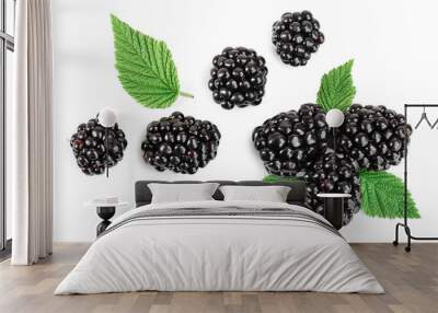 blackberry with leaf isolated on a white background closeup Wall mural