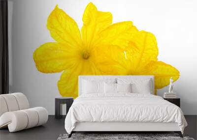 Cucumber flower closeup isolated on white background Wall mural