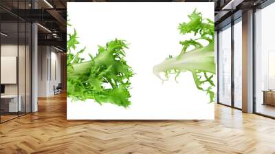 Fresh green leaves of endive frisee chicory salad isolated on white background with  full depth of field. Top view. Flat lay Wall mural