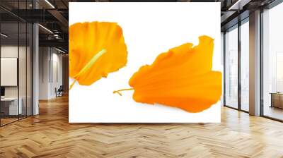 fresh petals of marigold or tagetes erecta flower isolated on white background with full depth of field. Wall mural