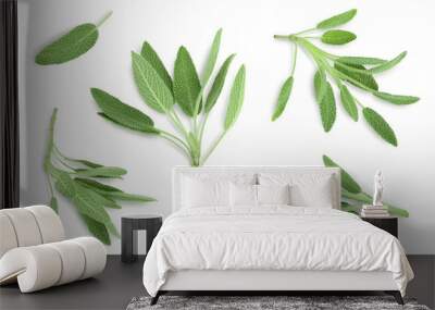 fresh sage herb isolated on white background with clipping path and full depth of field, Top view. Flat lay Wall mural