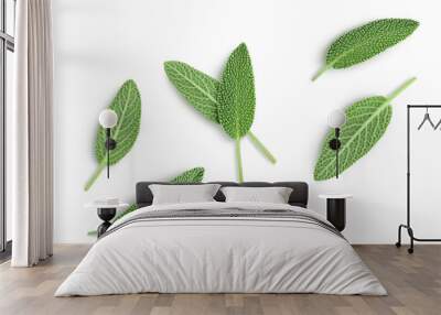 fresh sage herb isolated on white background with clipping path and full depth of field, Top view. Flat lay Wall mural