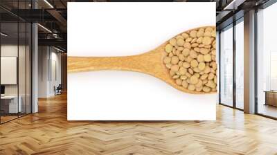 green lentil in wooden spoon isolated on white background. Top view Wall mural