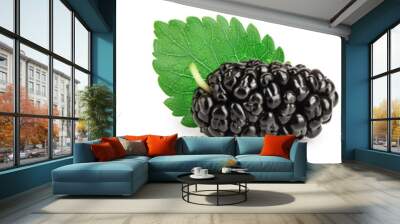 Mulberry with leaf isolated on white background. Set or collection Wall mural