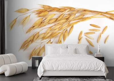 oat spike with grains isolated on white background Wall mural