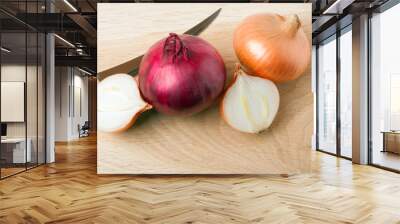 Onion vegetable bulbs Wall mural