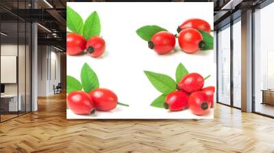 rose hip berry with leaf isolated on white background. Set or collection Wall mural