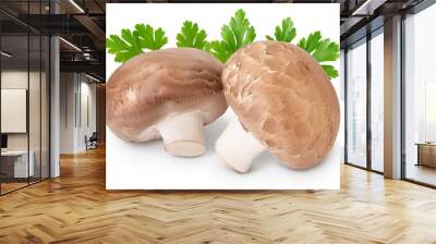 Royal Brown champignon isolated on white background with clipping path and full depth of field Wall mural