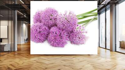 the flower of wild garlic isolated on white background. Wall mural