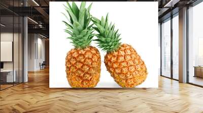 Two ripe pineapple isolated on white background Wall mural