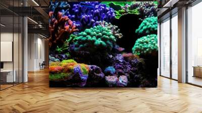 Dream Coral reef saltwater aquarium tank scene Wall mural