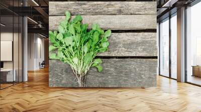 green fresh organic spinach leaves straight from the garden.wooden backdrop.growing vegetables, healthy lifestyle Wall mural