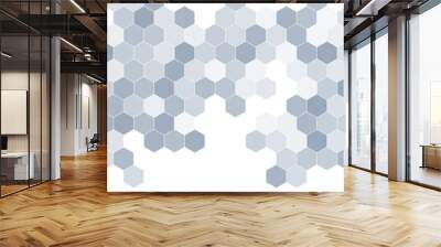 Hexagonal abstract technology grey background. Honeycomb science vector octagon texture hexagon pattern. Wall mural