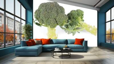 wo pieces of broccoli on white background Wall mural