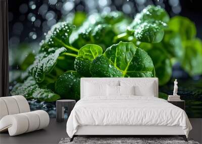 Fresh Green Leaves with Water Droplets Wall mural