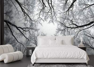 Winter scene in a forest with crown shyness, the bare branches maintaining their separation, creating a stark and intricate pattern against the gray sky Wall mural