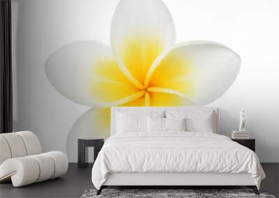 Frangipani flower isolated on white background Wall mural