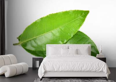 green tea leaf  isolated on white  background Wall mural