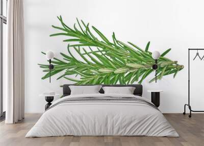 Rosemary isolated on white background Wall mural