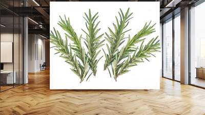 Rosemary isolated on white background Wall mural