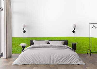 Grass field. Green grass field isolated on white background with clipped path. Wall mural