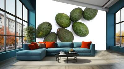 Avocado fruit isolated on white Wall mural