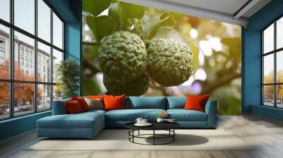 Bergamot fruit on tree Wall mural