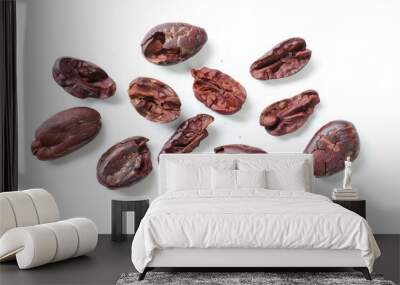 Cocoa beans isolated on white background Wall mural