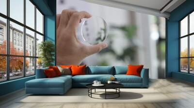 hand holding magnifying glass Wall mural