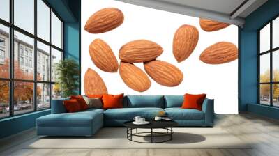 Isolated of almond nut  Wall mural