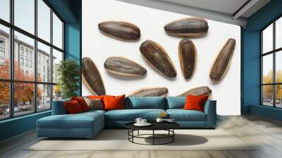 Isolated of sunflower seeds  Wall mural