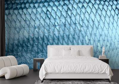 asp scales, toned image Wall mural