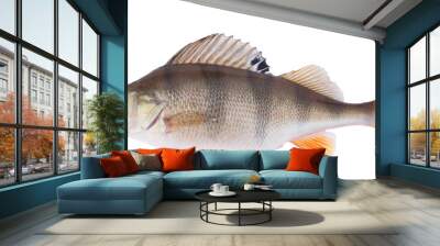 Perch on white, accurate clipping path included in file Wall mural