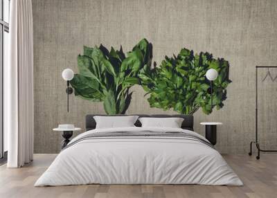 Background for the design of the menu. Parsley and basil on a background of linen cloth Wall mural