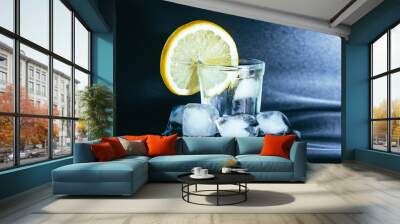 Glass of gin, ice and lemon Wall mural