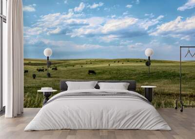 Rural landscape in Colorado, USA. Fields and grazing herds of cows Wall mural