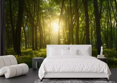 panoramic view of a beautiful green forest with tall trees and sunlight shining through the leaves, Forest panorama with sun rays Wall mural