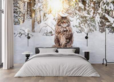 A fluffy big cat sits on the snow in sunny winter forest. Wall mural