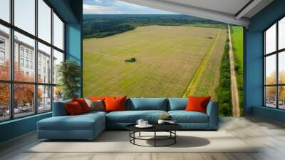 Aerial view of an agricultural field and harvester harvesting in autumn day Wall mural