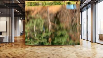 Autumn forest river water panorama. Natural color. Wall mural