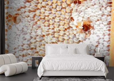 Background of wax honeycomb with honey close-up. Wall mural