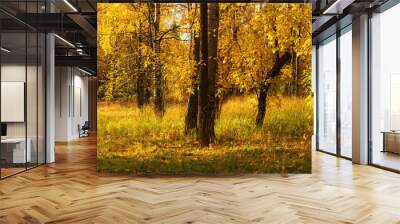 beautiful autumn landscape golden autumn falling leaves autumn park banner Wall mural