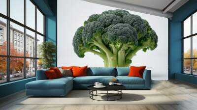 green broccoli white background Wall mural