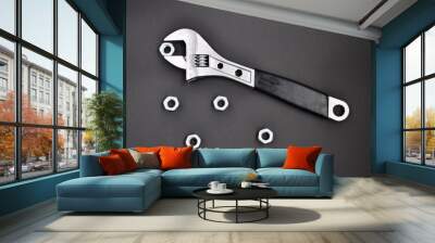 Hand wrench and metal nuts Wall mural